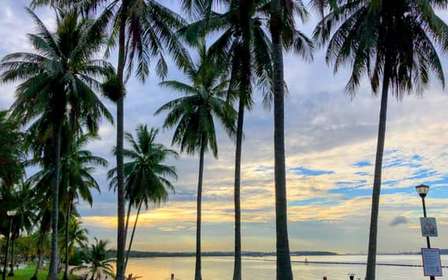 Singapour : balade panoramique à vélo avec coucher de soleil et repas
