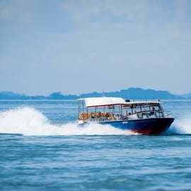Singapour : Billets pour Albatross Speedboat Adventures