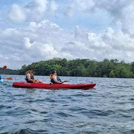 Kayak autour de Ketam à Pulau Ubin
