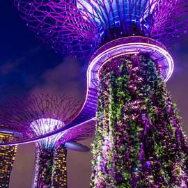 Singapour : croisière nocturne avec spectacles son et lumière