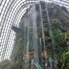 Billet d'entrée à Gardens by the Bay
