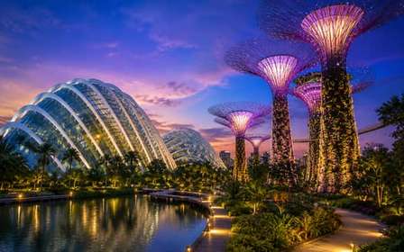 Jardins de la Baie, deux dômes, croisière fluviale et 2 spectacles de lumière