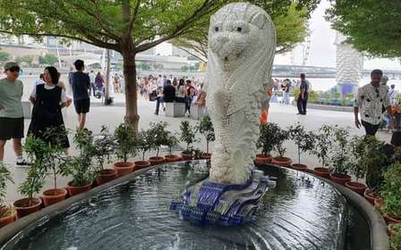 Singapour : Visite de la ville à pied avec un guide touristique local