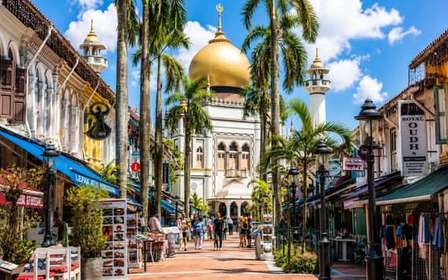 Singapour : Visite privée personnalisable de Singapour