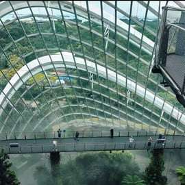 Singapour : billets pour le Flower Dome + la Cloud Forest