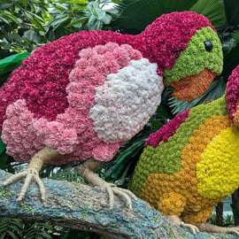 Accueil à Singapour : visite privative personnalisée de Jewel Changi