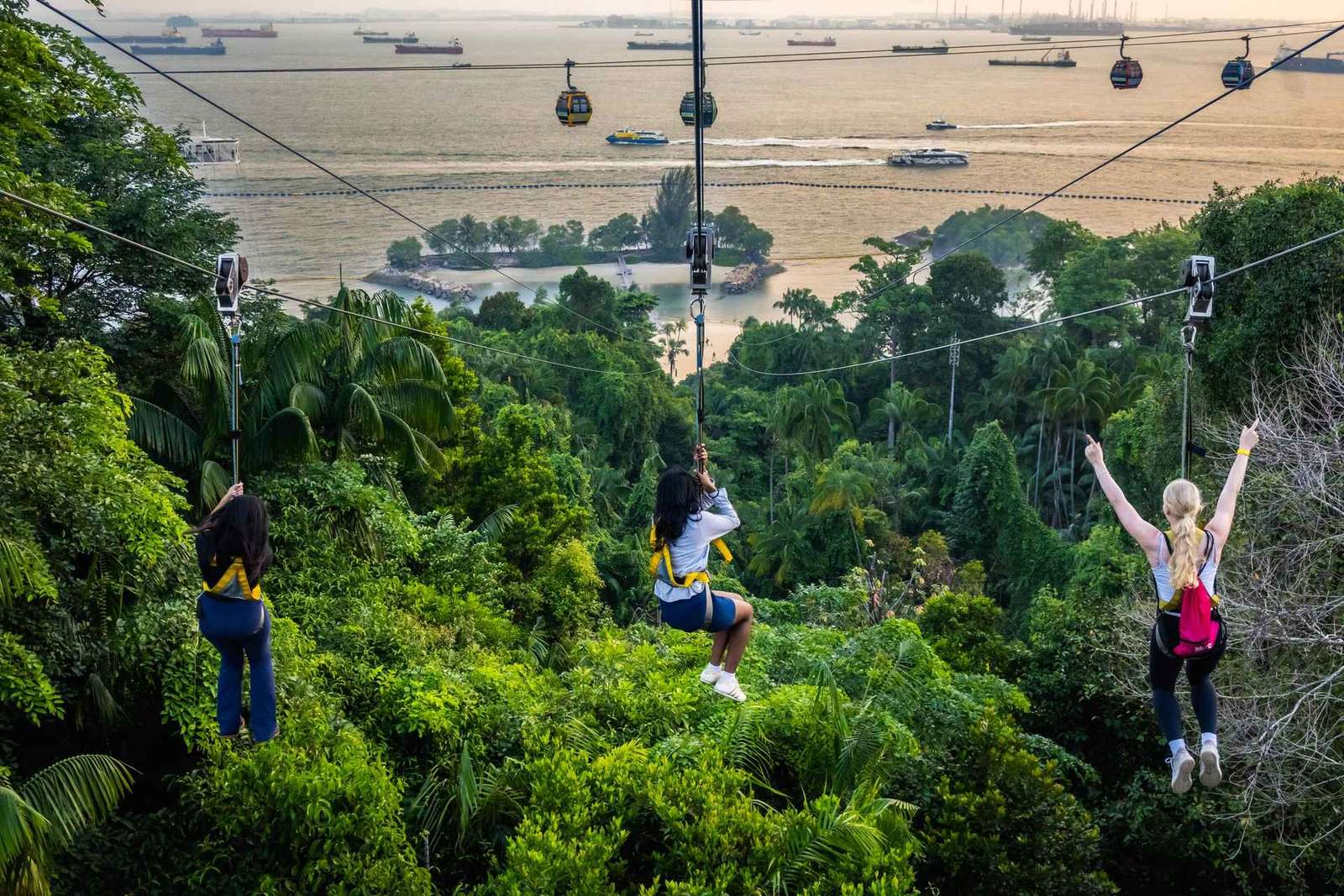 Singapour : Zipline Mega Adventure
