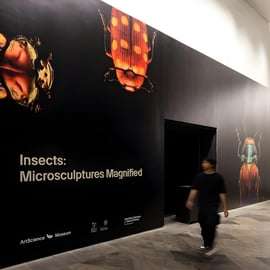 Singapour : billet d'entrée au musée ArtScience