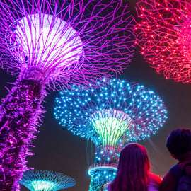 Singapour : visite nocturne en bus avec guide en chair et en os