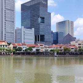 Singapour : visite guidée à pied avec un local