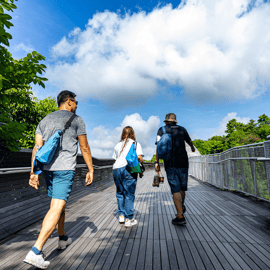 Singapour : Faber Peak : visite guidée à pied avec petit-déjeuner