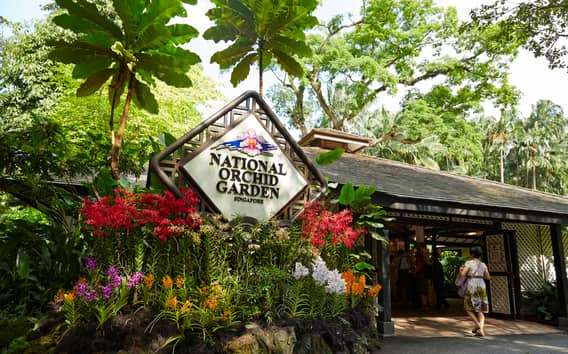 Singapour : Entrée au National Orchid Garden