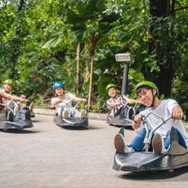 Singapour : Skyline Luge et AltitudeX Indoor Skydiving