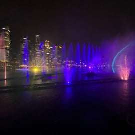 Singapour : visite de nuit avec croisière fluviale, SkyPark et Spectra