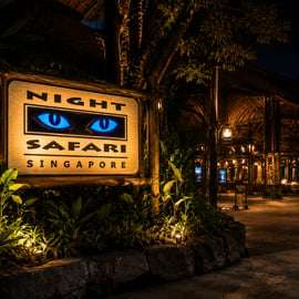 Singapour : safari de nuit, excursion en tram et prise en charge à votre hôtel