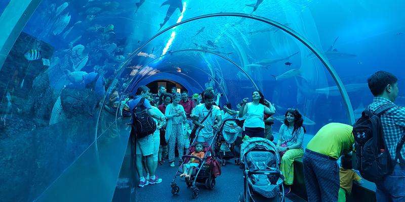 S.E.A Aquarium