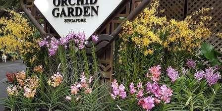 National Orchid Garden