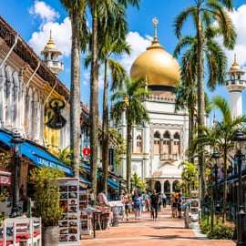 Singapour : Visite privée personnalisable de Singapour