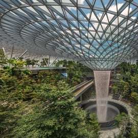 Singapour : Billet d'entrée directe à l'aéroport Jewel Changi