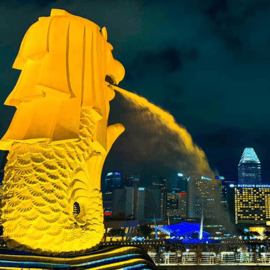 Croisière sur le fleuve Singapour au coucher du soleil et spectacles de lumières scintillantes
