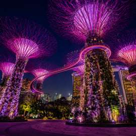 Visite de nuit des Jardins de la Baie avec les dômes et le spectacle Garden Rhapsody