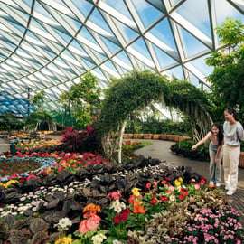 Singapour : billet d'entrée au Canopy Park de l'aéroport Jewel Changi