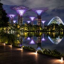 Visite de nuit des Jardins de la Baie avec les dômes et le spectacle Garden Rhapsody