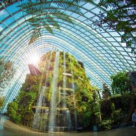 Singapour : billet d'entrée pour les Jardins de la Baie