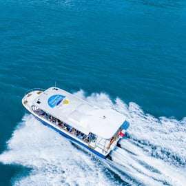 Singapour : Billets pour Albatross Speedboat Adventures
