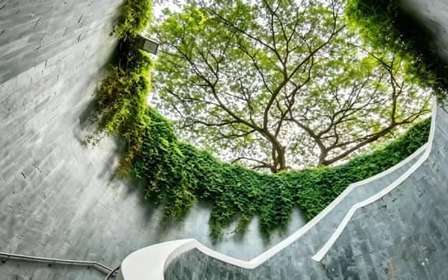 Singapour : visite privée des lieux d'intérêt Instagram en voiture