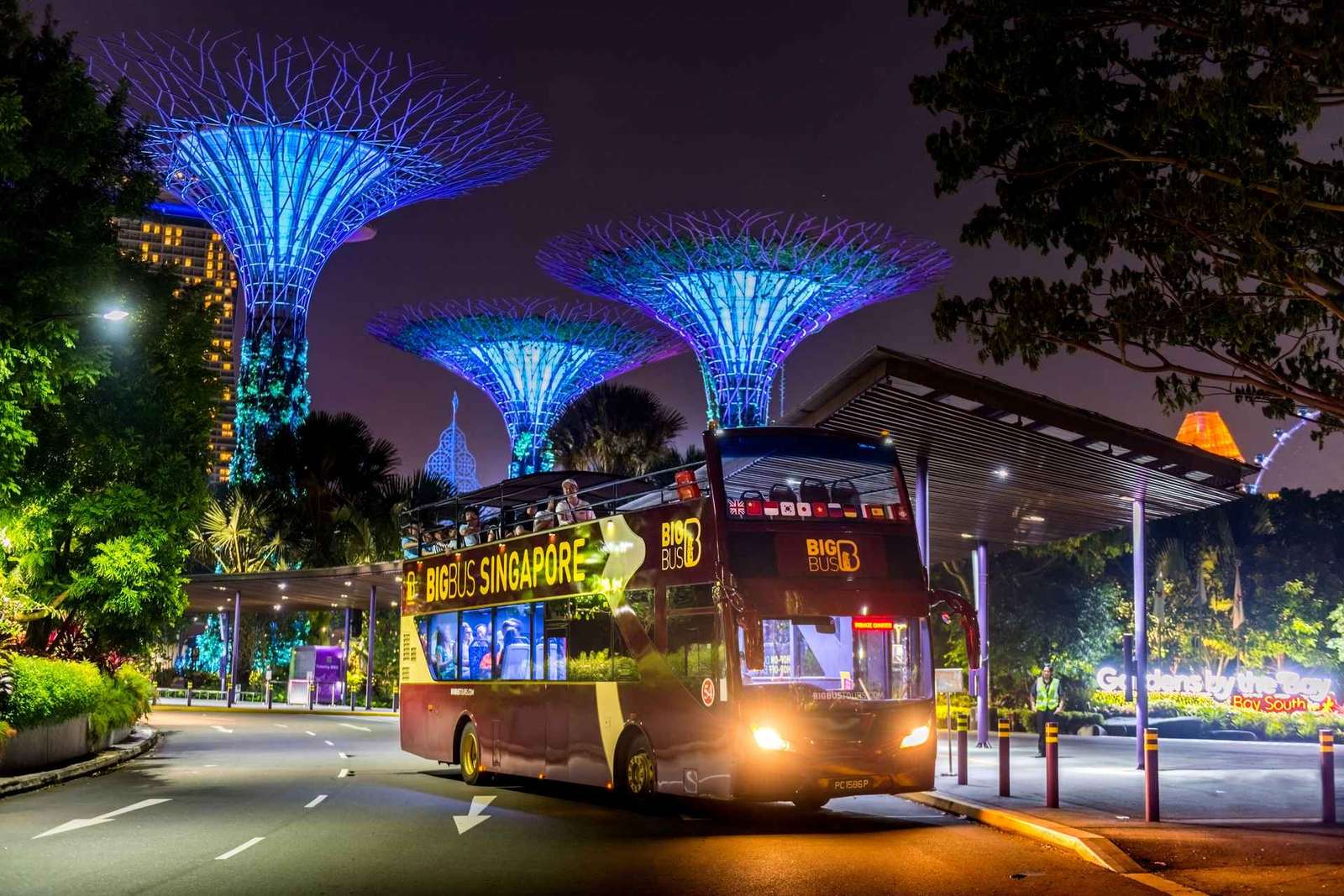 Singapour : visite nocturne en bus avec guide en chair et en os