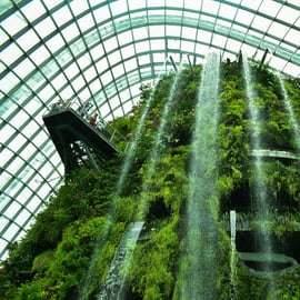 Billet d'entrée à Gardens by the Bay