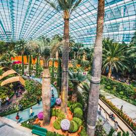 Singapour : billet d'entrée pour les Jardins de la Baie