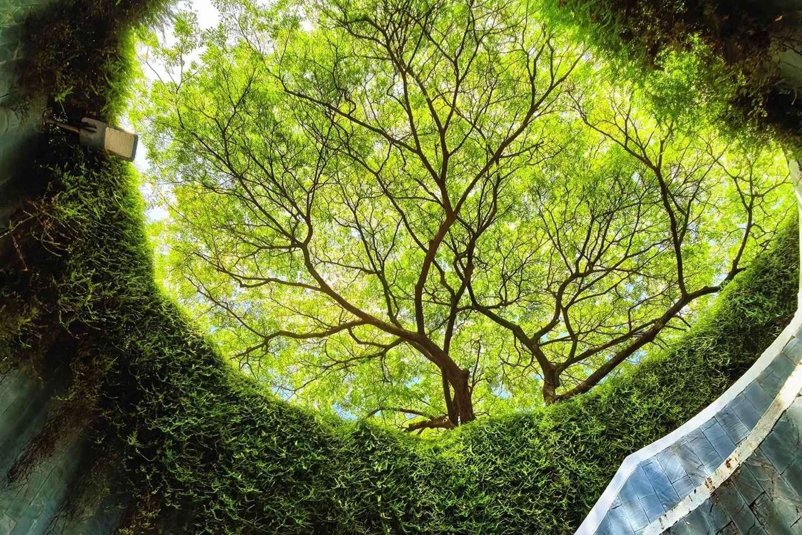 Singapour : visite de 12 lieux d'intérêt avec temps libre et transferts