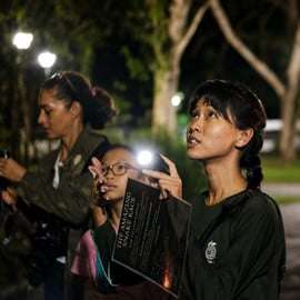 Singapour : promenade nocturne dans la mangrove