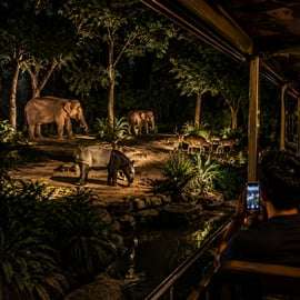 Singapour : safari de nuit avec excursion en tram et prise en charge à l'hôtel