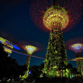 Croisière sur le fleuve Singapour au coucher du soleil et spectacles de lumières scintillantes