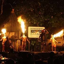 Billet d'entrée pour le Night Safari avec spectacle