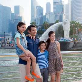 Visite guidée d'une demi-journée à Singapour