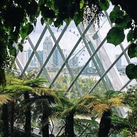 Singapour : billets pour le Flower Dome + la Cloud Forest