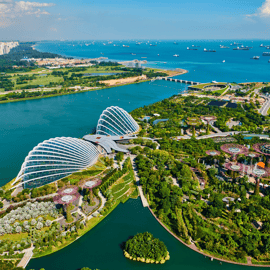 Singapore Gardens by the Bay avec billet d'entrée et prise en charge