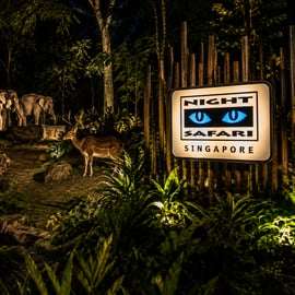 Singapour : safari de nuit avec excursion en tram et prise en charge à l'hôtel