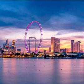 Singapour : billet à entrée programmée pour le Singapore Flyer et la Time Capsule