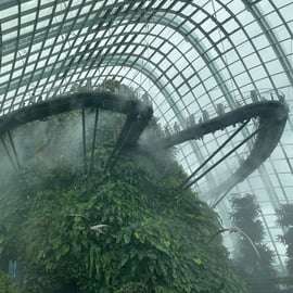 Gardens by the Bay : OCBC Skyway, Flower Dome et Cloud Forest