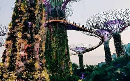 Gardens by the Bay : OCBC Skyway, Flower Dome et Cloud Forest