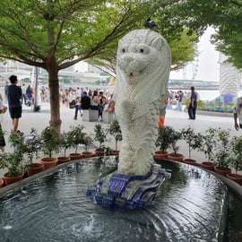Singapour : Visite de la ville à pied avec un guide touristique local