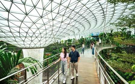 Singapour : billet d'entrée au Canopy Park de l'aéroport Jewel Changi