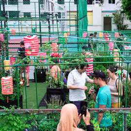 Singapour : visite guidée à vélo des fermes et jardins urbains