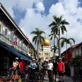 Singapour : visite à vélo des temps forts de la ville (visite patrimoniale de 4 heures)