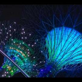 Gardens by the Bay : OCBC Skyway, Flower Dome et Cloud Forest